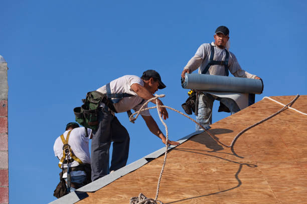 Best Roof Leak Repair  in Coeburn, VA