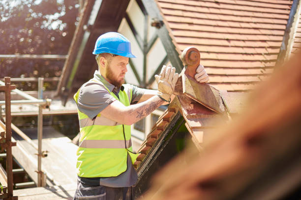 Best Roof Gutter Cleaning  in Coeburn, VA